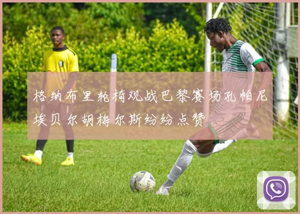 格纳布里轮椅观战巴黎赛场孔帕尼埃贝尔胡梅尔斯纷纷点赞